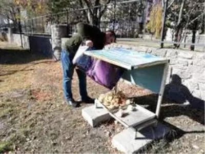 Kars'ta belediye sokak hayvanlarını unutmadı Kars'ta belediye sokak hayvanlarını unutmadı