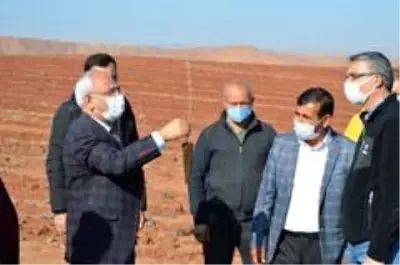 Kırıkkale'de 'KOP ile Sürdürülebilir Küçükbaş Hayvancılık' projesi Kırıkkale'de 'KOP ile Sürdürülebilir Küçükbaş Hayvancılık' projesi