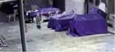 Köpekler, tezgahın altında sıkıştırdıkları kediyi öldürdü Köpekler, tezgahın altında sıkıştırdıkları kediyi öldürdü