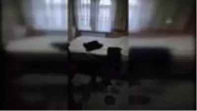 Narkotik köpeği 'Çine' tenceredeki uyuşturucu hapları buldu