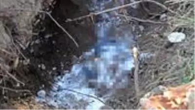 Ormanlık alanda polisi alarma geçiren mezar, hasta köpeğin çıktı Ormanlık alanda polisi alarma geçiren mezar, hasta köpeğin çıktı