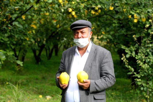 'Sarı altın' daha dalındayken satıldı! ABD ve Rusya'nın da aralarında olduğu 10 ülkeye ihraç ediliyor