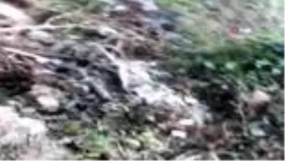 Sel nedeniyle evleri zarar gören aile yardım bekliyor