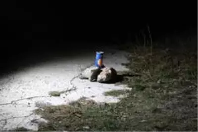 Sivas'ta bomba paniği... Vali sosyal medyadan açıklama yaptı Sivas'ta bomba paniği... Vali sosyal medyadan açıklama yaptı