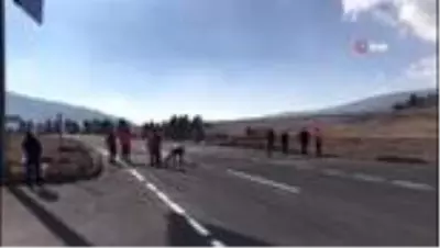AK Parti Kars milletvekilleri müjdeyi vermişti AK Parti Kars milletvekilleri müjdeyi vermişti