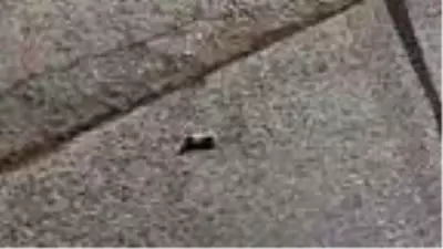 Son dakika haber... Arnavutköy'de silahlı saldırı: 2 yaralı Son dakika haber... Arnavutköy'de silahlı saldırı: 2 yaralı