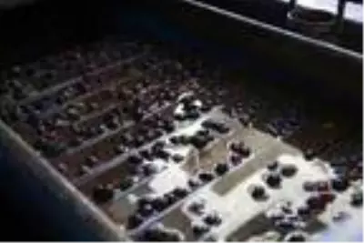 Asırlardır geleneksel yöntemlerle zeytinyağı üretiyorlar Asırlardır geleneksel yöntemlerle zeytinyağı üretiyorlar