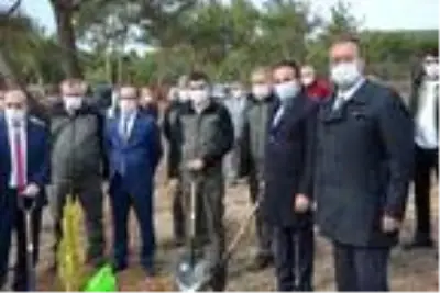 Ayvalık'ta yanan alanlarda ağaçlandırma çalışması başladı Ayvalık'ta yanan alanlarda ağaçlandırma çalışması başladı