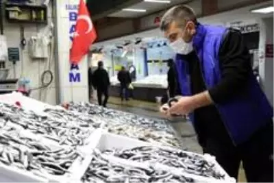 Balıkçılar palamuttan sonra hamsiden umutlu Balıkçılar palamuttan sonra hamsiden umutlu