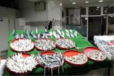 Balıkçılar palamuttan sonra hamsiden umutlu Balıkçılar palamuttan sonra hamsiden umutlu