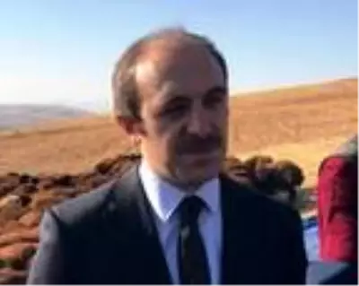 Bayburtlu çiftçiye 5 bin koyun dağıtıldı Bayburtlu çiftçiye 5 bin koyun dağıtıldı
