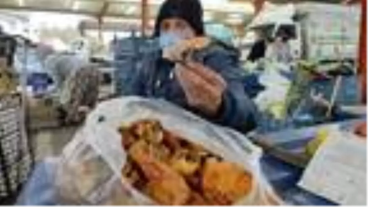 Çanakkale'de kanlıca mantarı köylüye ek gelir kapısı oldu