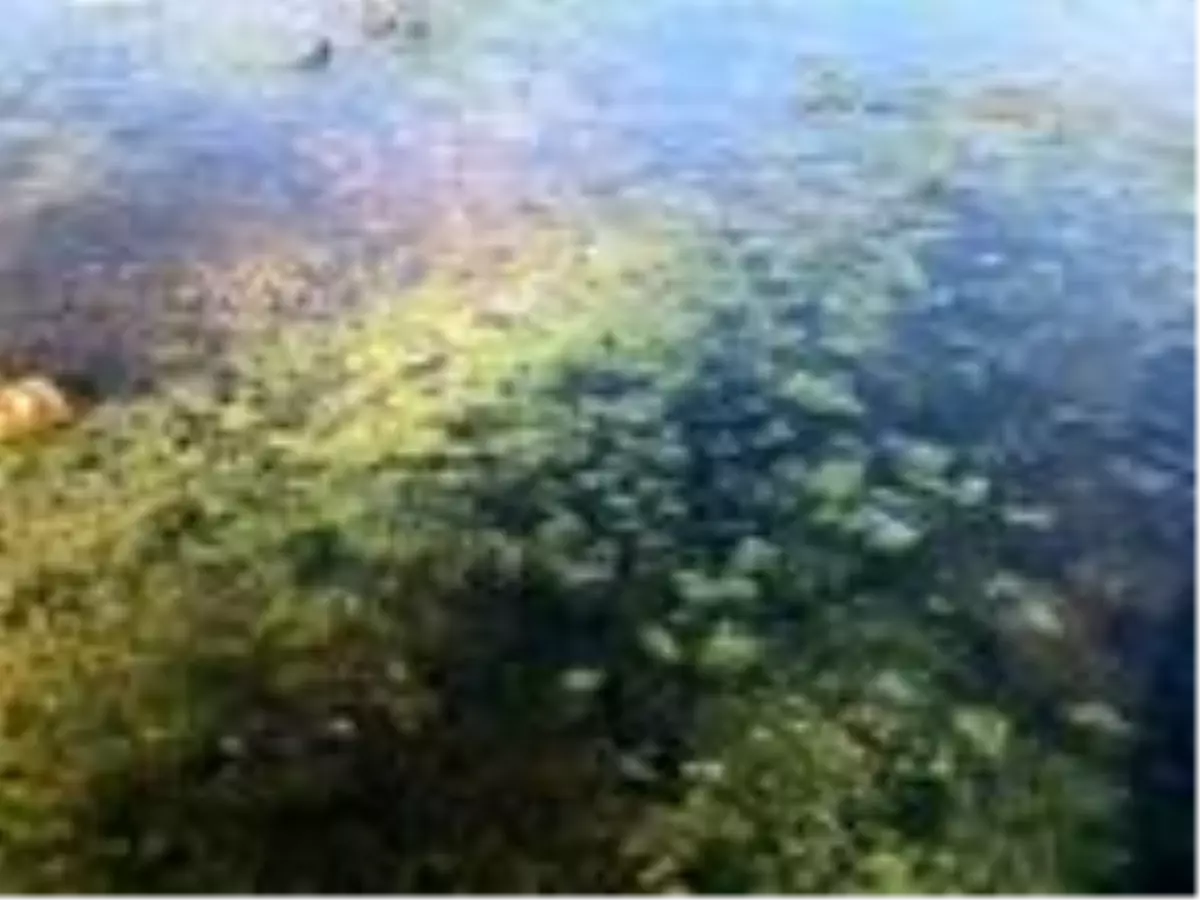 Eğirdir ve Beyşehir'de 'dip suyu' alarmı