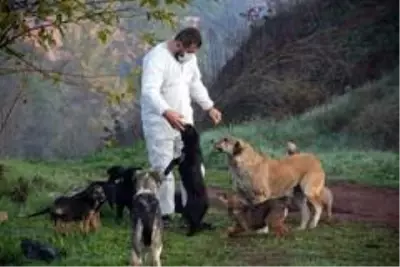 Erenler Belediyesi sokak hayvanlarını unutmadı Erenler Belediyesi sokak hayvanlarını unutmadı
