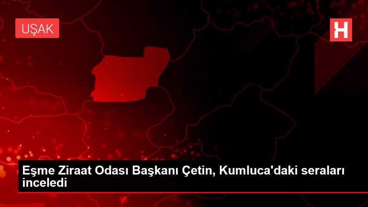 Eşme Ziraat Odası Başkanı Çetin, Kumluca'daki seraları inceledi