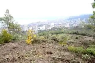 Fatsa'ya 35 dönümlük yeni kabristanlık Fatsa'ya 35 dönümlük yeni kabristanlık