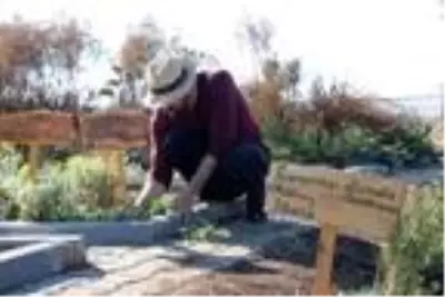 Son dakika gündem: Fitoterapi uzmanı doktor, yetiştirdiği aromatik bitkilerle hastaları tedavi ediyor Son dakika gündem: Fitoterapi uzmanı doktor, yetiştirdiği aromatik bitkilerle hastaları tedavi ediyor