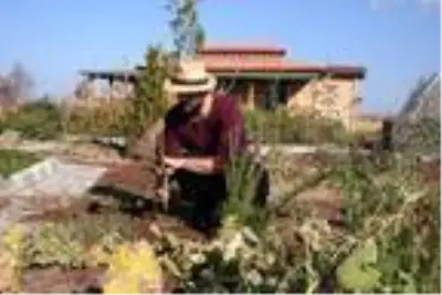 Son dakika gündem: Fitoterapi uzmanı doktor, yetiştirdiği aromatik bitkilerle hastaları tedavi ediyor Son dakika gündem: Fitoterapi uzmanı doktor, yetiştirdiği aromatik bitkilerle hastaları tedavi ediyor