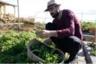 Son dakika gündem: Fitoterapi uzmanı doktor, yetiştirdiği aromatik bitkilerle hastaları tedavi ediyor Son dakika gündem: Fitoterapi uzmanı doktor, yetiştirdiği aromatik bitkilerle hastaları tedavi ediyor