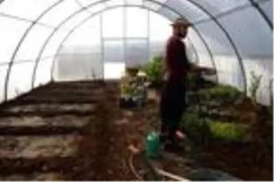 Son dakika gündem: Fitoterapi uzmanı doktor, yetiştirdiği aromatik bitkilerle hastaları tedavi ediyor Son dakika gündem: Fitoterapi uzmanı doktor, yetiştirdiği aromatik bitkilerle hastaları tedavi ediyor