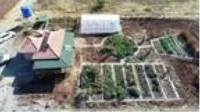Son dakika gündem: Fitoterapi uzmanı doktor, yetiştirdiği aromatik bitkilerle hastaları tedavi ediyor Son dakika gündem: Fitoterapi uzmanı doktor, yetiştirdiği aromatik bitkilerle hastaları tedavi ediyor