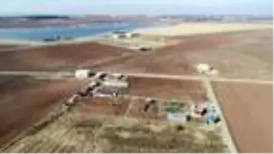 Son dakika gündem: Fitoterapi uzmanı doktor, yetiştirdiği aromatik bitkilerle hastaları tedavi ediyor Son dakika gündem: Fitoterapi uzmanı doktor, yetiştirdiği aromatik bitkilerle hastaları tedavi ediyor
