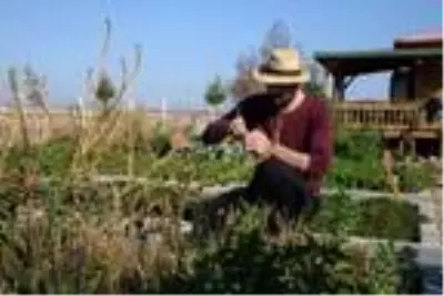 Son dakika gündem: Fitoterapi uzmanı doktor, yetiştirdiği aromatik bitkilerle hastaları tedavi ediyor Son dakika gündem: Fitoterapi uzmanı doktor, yetiştirdiği aromatik bitkilerle hastaları tedavi ediyor