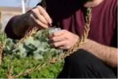 Son dakika gündem: Fitoterapi uzmanı doktor, yetiştirdiği aromatik bitkilerle hastaları tedavi ediyor Son dakika gündem: Fitoterapi uzmanı doktor, yetiştirdiği aromatik bitkilerle hastaları tedavi ediyor