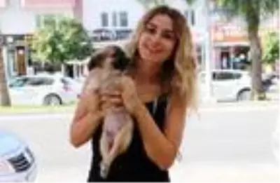 İnternetten hayvan satanlara pet marketlerden tepki: Yılan, baykuş, akrep bile satıyorlar İnternetten hayvan satanlara pet marketlerden tepki: Yılan, baykuş, akrep bile satıyorlar