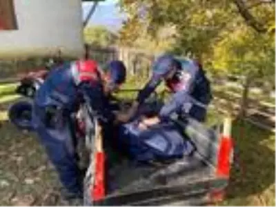Jandarma, yaralı karacanın üzerine üşümemesi için montunu örttü Jandarma, yaralı karacanın üzerine üşümemesi için montunu örttü