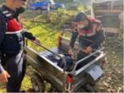Jandarma, yaralı karacanın üzerine üşümemesi için montunu örttü Jandarma, yaralı karacanın üzerine üşümemesi için montunu örttü