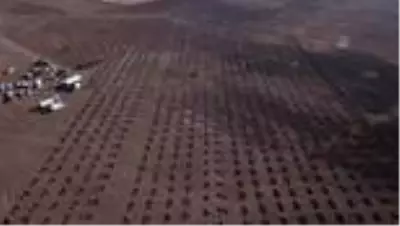 Kahramankazan'da 2 bin 400 meyve fidanı toprakla buluştu Kahramankazan'da 2 bin 400 meyve fidanı toprakla buluştu