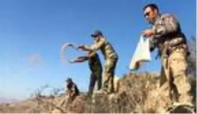 Kars'ta avcılar avlamak yerine bu kez yemledi Kars'ta avcılar avlamak yerine bu kez yemledi