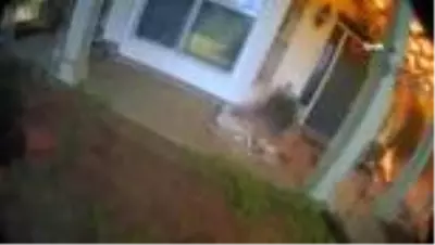 Son dakika haberleri | (NEW HAMPSHIRE)- ABD'de Kahraman Polis, 2 Kişiyi ve 1 Köpeği Yangından Kurtardı Son dakika haberleri | (NEW HAMPSHIRE)- ABD'de Kahraman Polis, 2 Kişiyi ve 1 Köpeği Yangından Kurtardı
