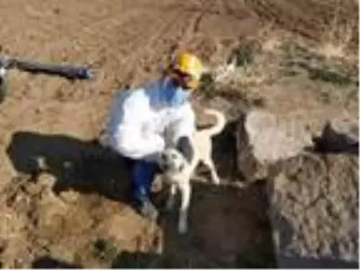 Niğde'de 4 gündür su kuyusunda mahsur kalan köpek kurtarıldı Niğde'de 4 gündür su kuyusunda mahsur kalan köpek kurtarıldı