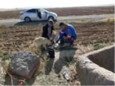 Niğde'de 4 gündür su kuyusunda mahsur kalan köpek kurtarıldı Niğde'de 4 gündür su kuyusunda mahsur kalan köpek kurtarıldı