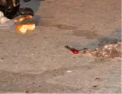 oğul tartıştıkları komşuları olan 2 kardeşi bıçakla yaraladı oğul tartıştıkları komşuları olan 2 kardeşi bıçakla yaraladı