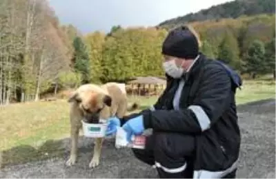 Osmangazi'de sosyal destek 800 bini geçti Osmangazi'de sosyal destek 800 bini geçti