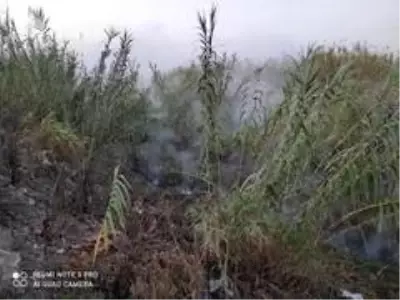 Reenjekte vanasının arızası onarıldı, sorun çözüldü Reenjekte vanasının arızası onarıldı, sorun çözüldü