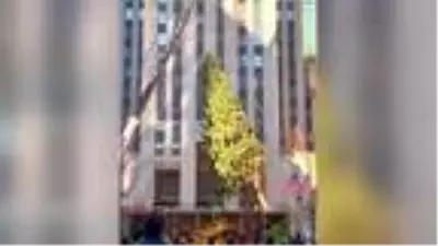 Rockefeller Center'a konulacak Noel ağacı 88'inci kez ışıklandırılacak Rockefeller Center'a konulacak Noel ağacı 88'inci kez ışıklandırılacak