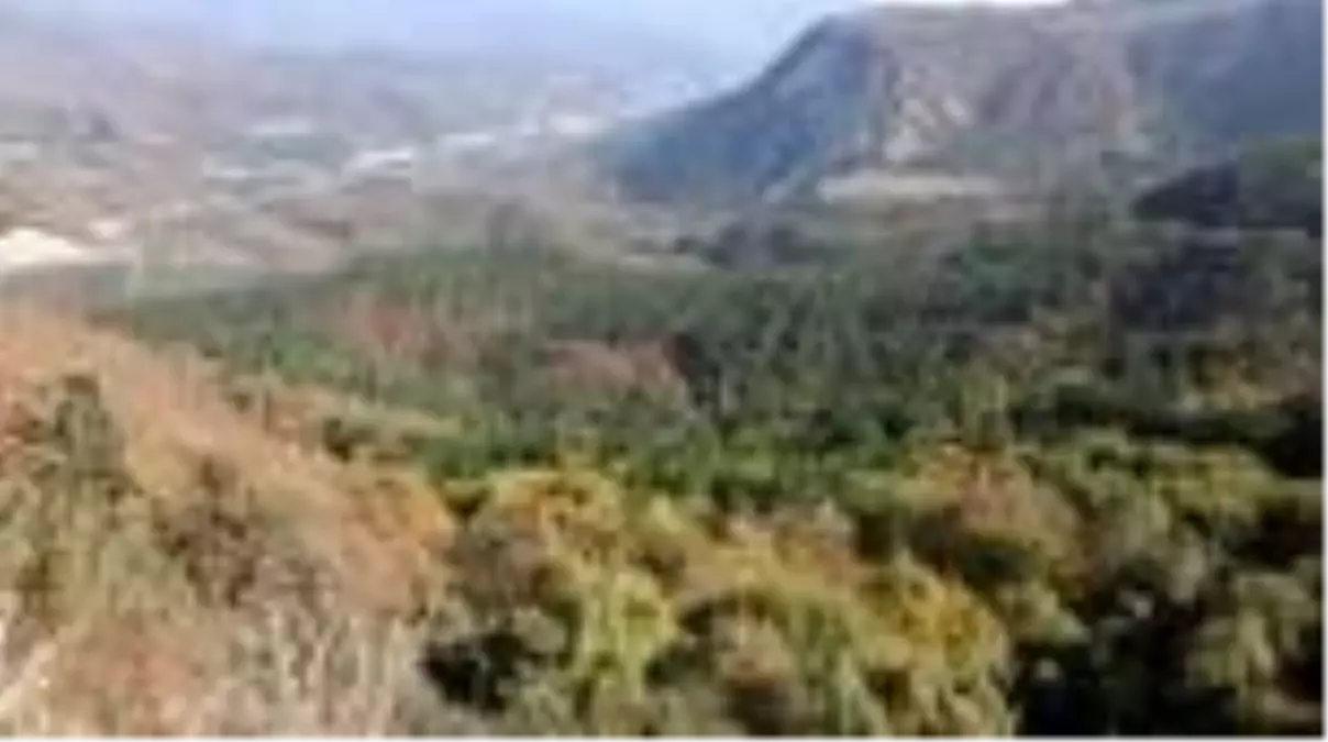 Sülüklü Göl'de sonbaharın güzellikleri yaşanıyor