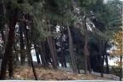 Son Dakika | Tekirdağ Valiliğinden Çanakkale Şehitliği haberleriyle ilgili açıklama Son Dakika | Tekirdağ Valiliğinden Çanakkale Şehitliği haberleriyle ilgili açıklama
