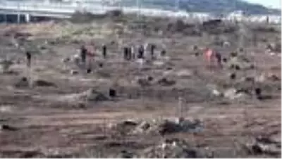 Yanan ormanlık alanlara mabet ağacı dikildi Yanan ormanlık alanlara mabet ağacı dikildi