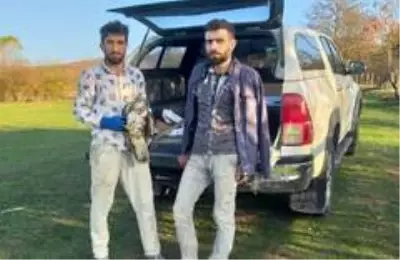 Yaralı halde bulduğu doğan kuşunun bir an olsun yanından ayrılmadı Yaralı halde bulduğu doğan kuşunun bir an olsun yanından ayrılmadı