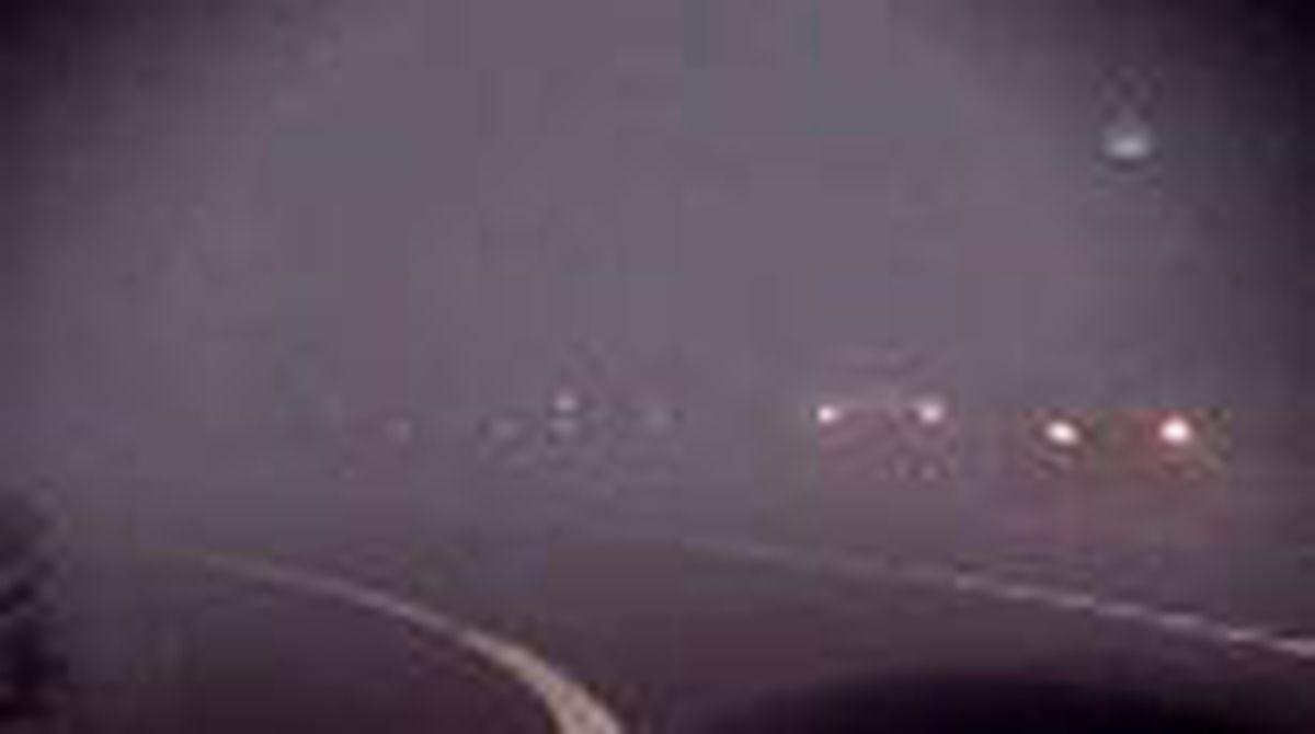 Sakarya, Bolu ve Düzce'de yoğun sis