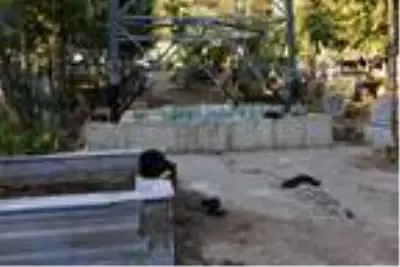 Yüksek gerilim hattında bakım-onarım çalışması yapan işçi akıma kapıldı Yüksek gerilim hattında bakım-onarım çalışması yapan işçi akıma kapıldı