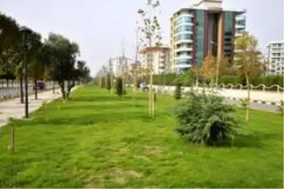 Yunusemre'de 35 bin metrekarelik alan yeşillendi Yunusemre'de 35 bin metrekarelik alan yeşillendi