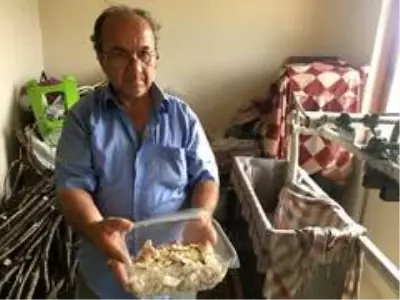 150 yıllık 'Bartın Ağda Tatlısı' coğrafi işaret tescil belgesi aldı 150 yıllık 'Bartın Ağda Tatlısı' coğrafi işaret tescil belgesi aldı