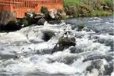25 yıldır gönüllü olarak inci kefalleri için suyun sıcaklığını ölçüyor 25 yıldır gönüllü olarak inci kefalleri için suyun sıcaklığını ölçüyor
