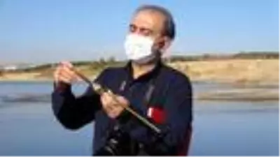 25 yıldır gönüllü olarak inci kefalleri için suyun sıcaklığını ölçüyor 25 yıldır gönüllü olarak inci kefalleri için suyun sıcaklığını ölçüyor